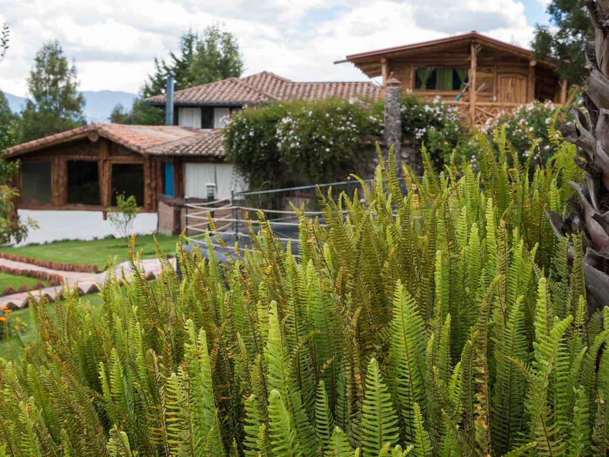 赞桑特山林小屋 Puembo 外观 照片